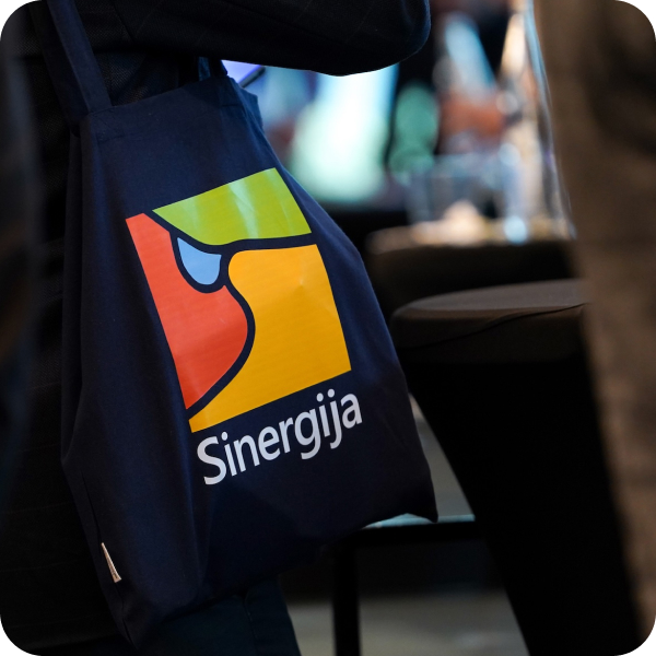 Sinergija